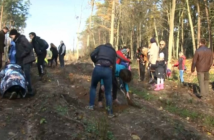  Las Kobiet wyrośnie w Kudypach